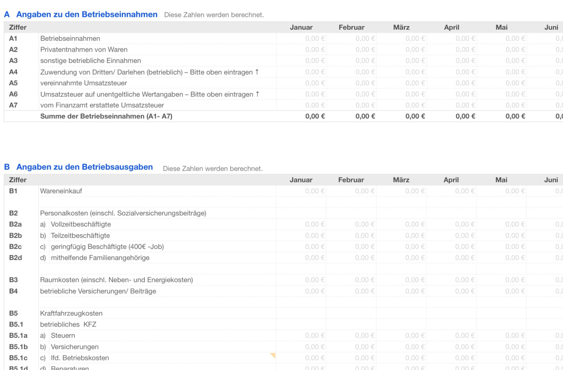 Einnahmen-Überschuss-Rechnung 2026 mit USt "Anlage EKS"