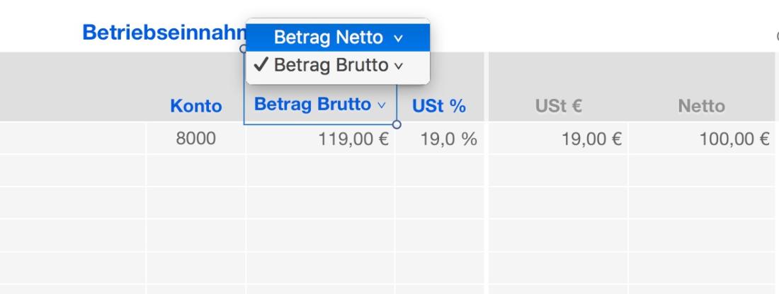 Einnahmen-Überschuss-Rechnung 2020 mit USt brutto netto Auswahl