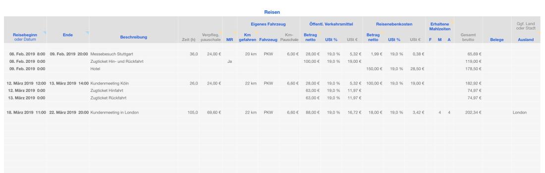 Vorlage Einnahmen-Überschuss-Rechnung 2019 für Mac und iPad Reisekosten