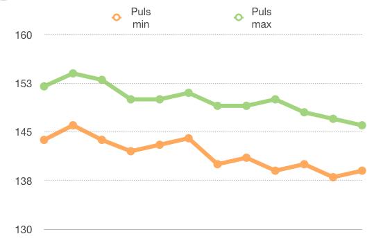 Numbers Vorlage Trainingsplan Detail Puls Auswertung